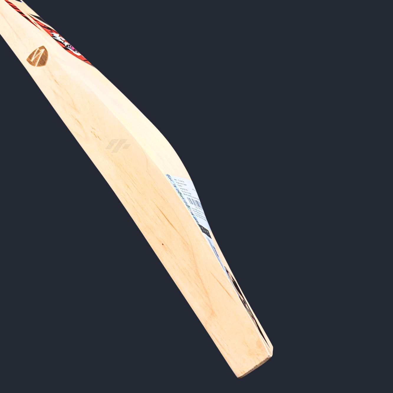 SG Ishan Kishan Players SH Cricket Bat