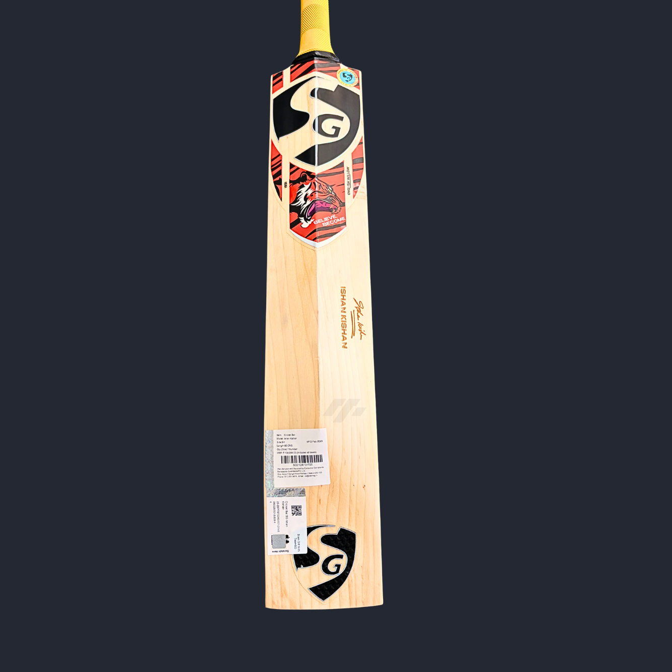 SG Ishan Kishan Players SH Cricket Bat