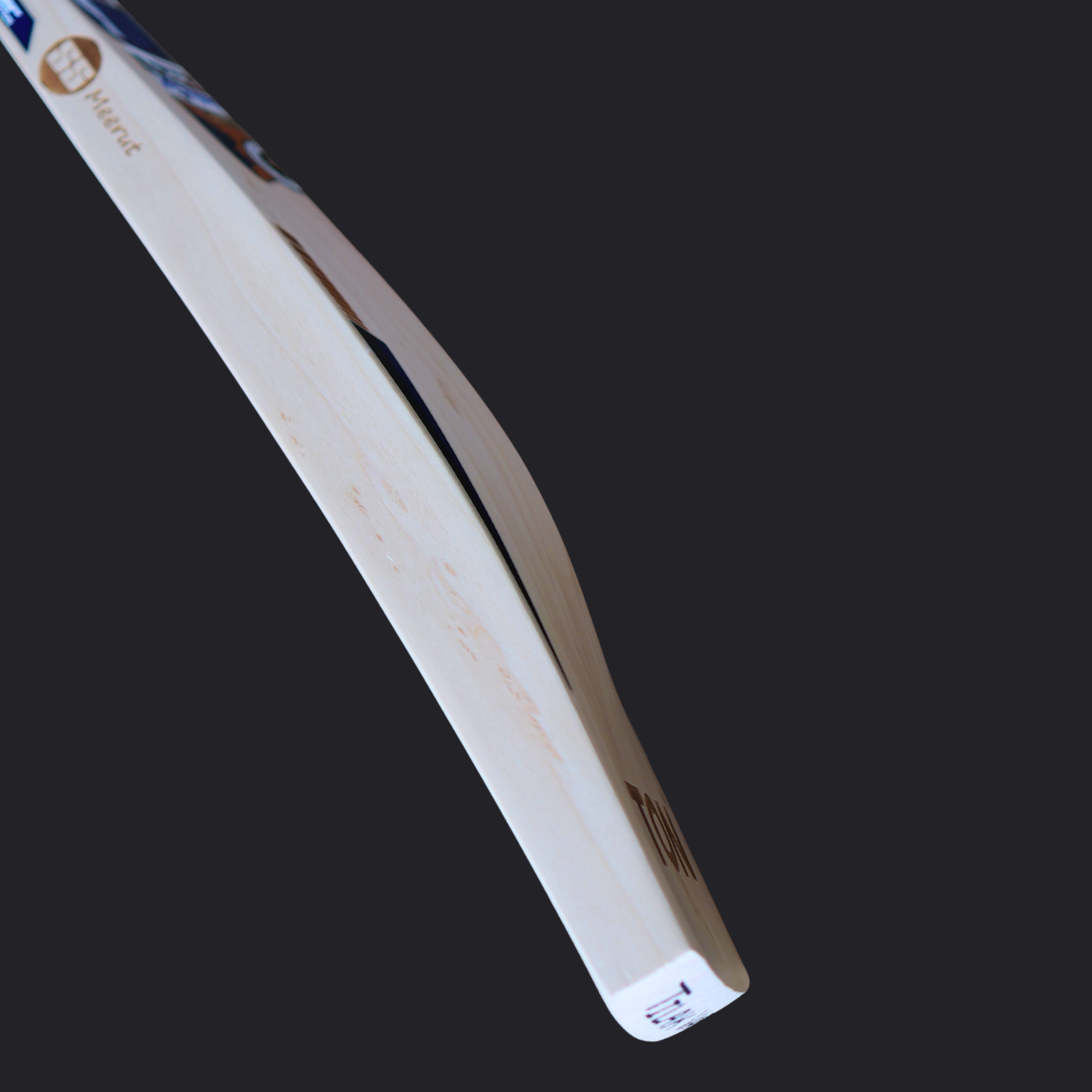 SS - Tilak Verma Players Edition Cricket Bat - SH