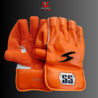 SS - Players Keeping Gloves