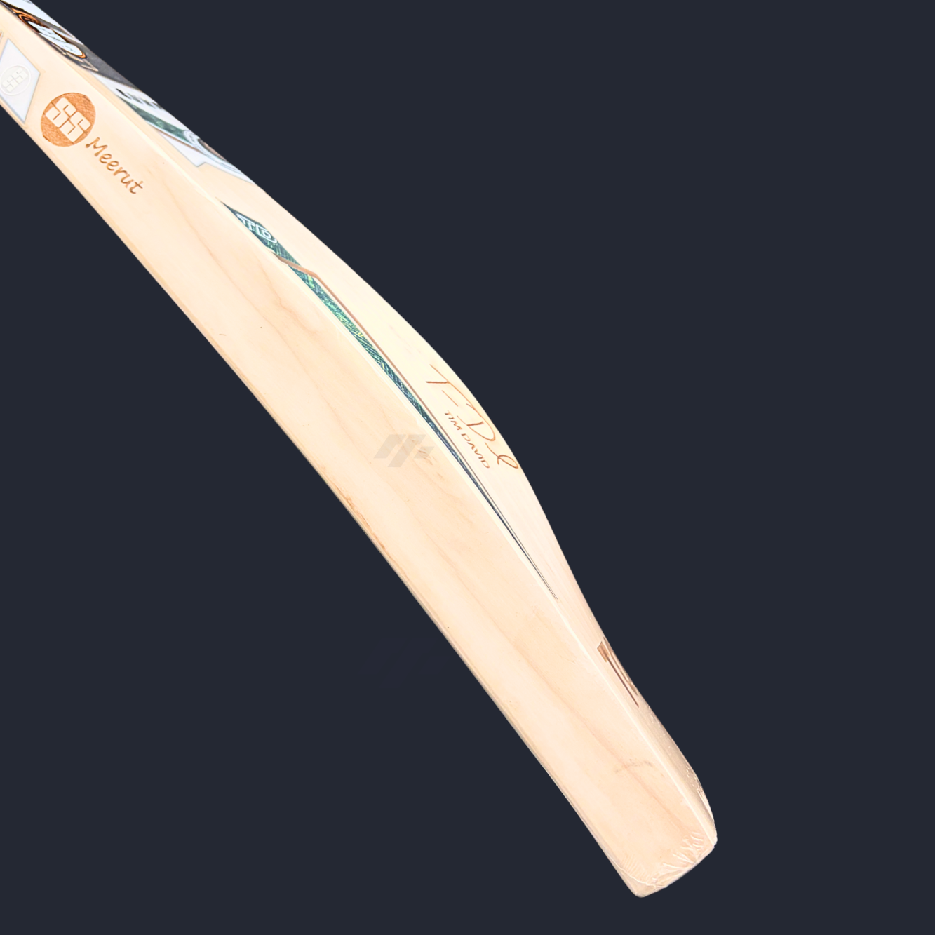 SS - Tim David Players Edition Cricket Bat- SH