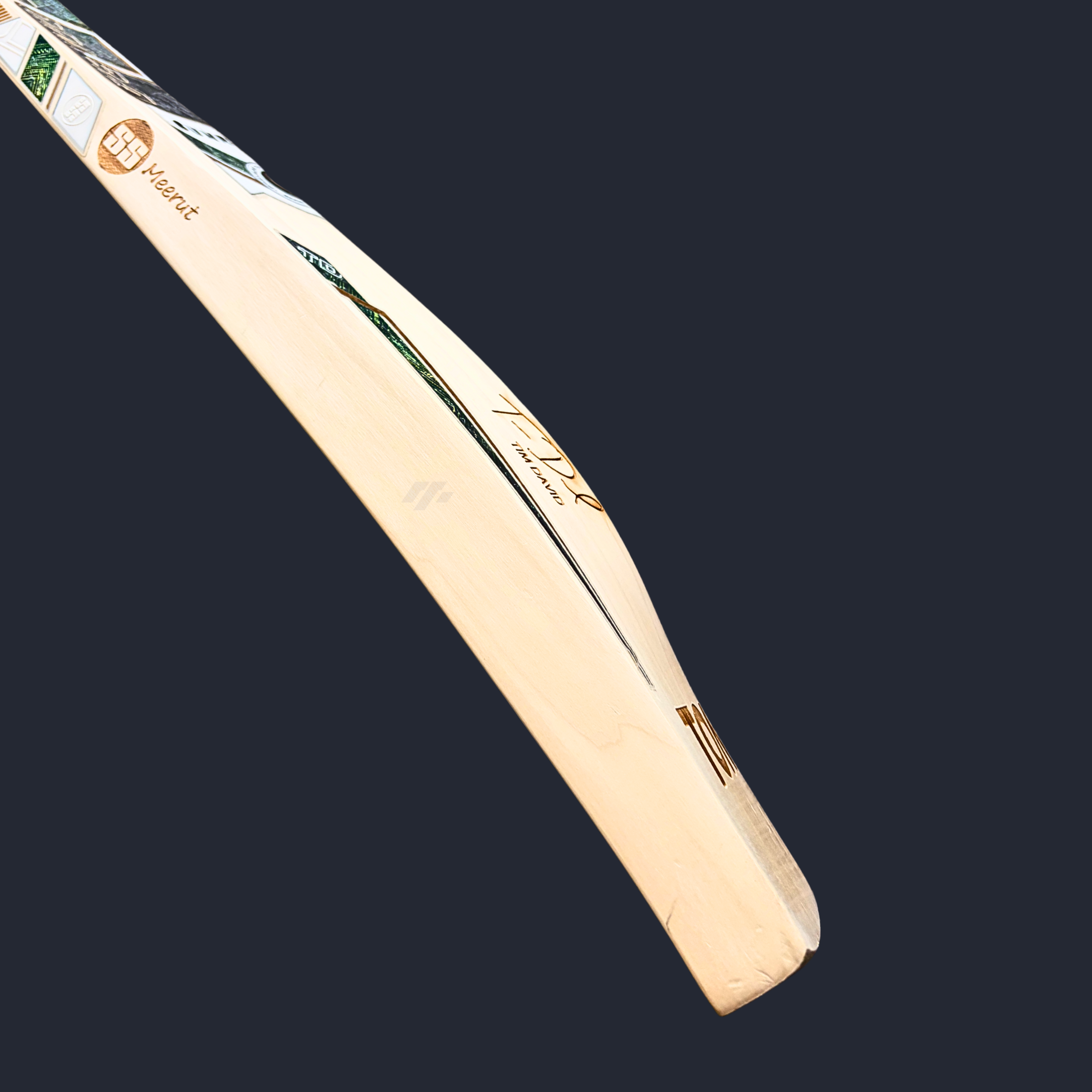 SS Tim David Gamma Players SH Cricket Bat