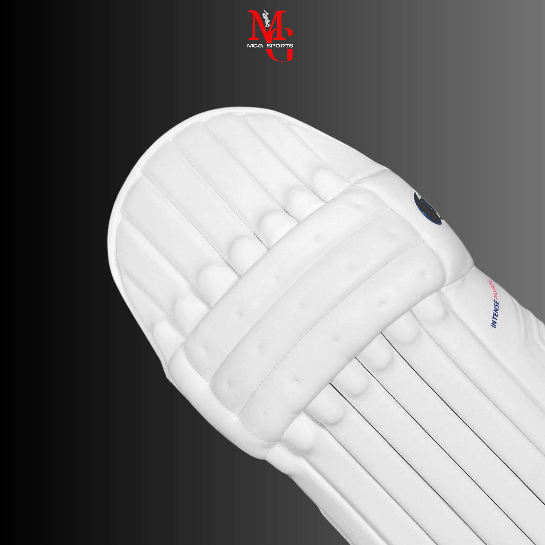 Image of DSC - Intense Passion Batting pads