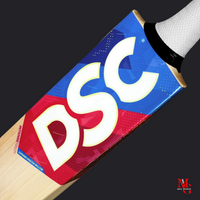 DSC - INTENSE FEROCITY CRICKET BAT