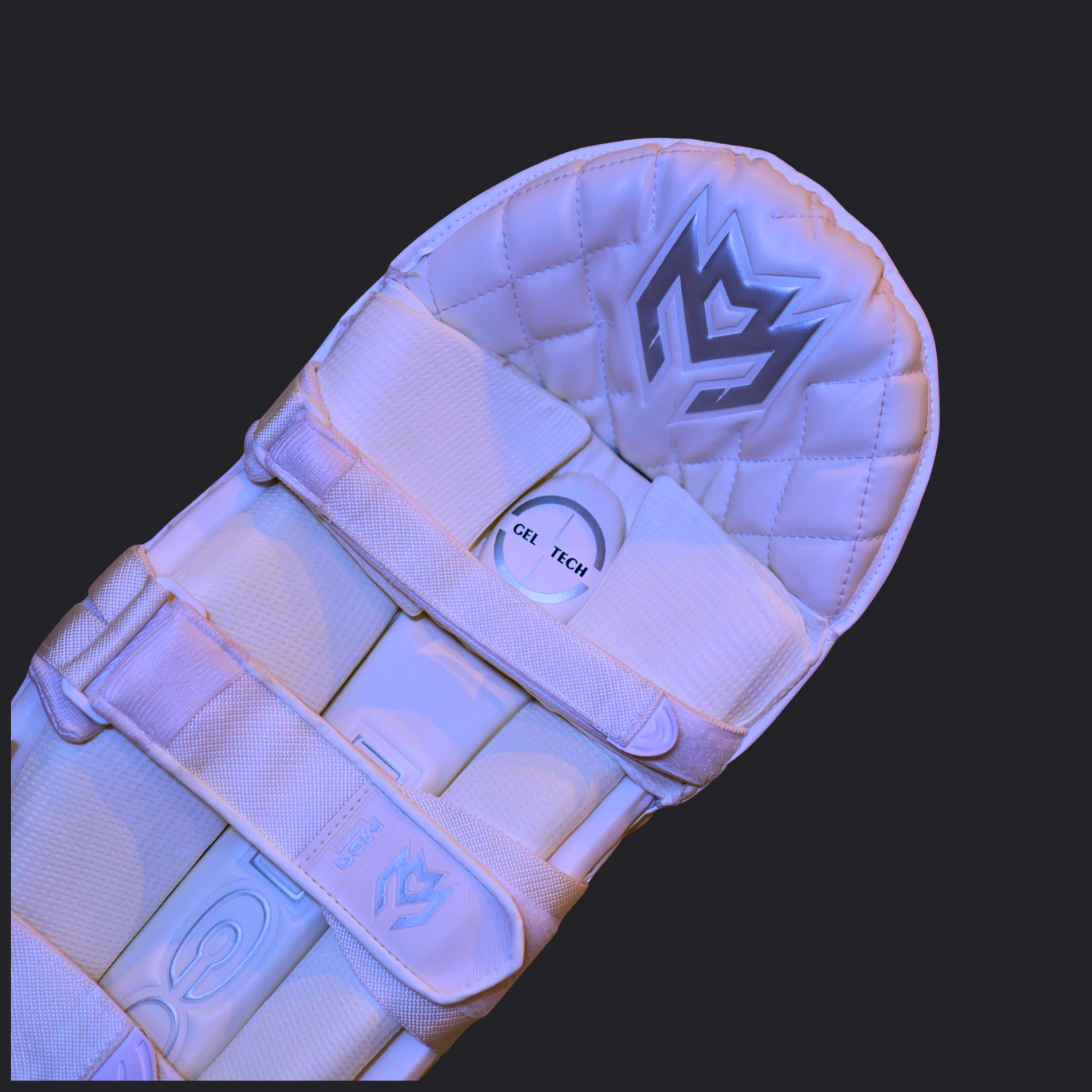 Image of Players Edition Cricket pads - White