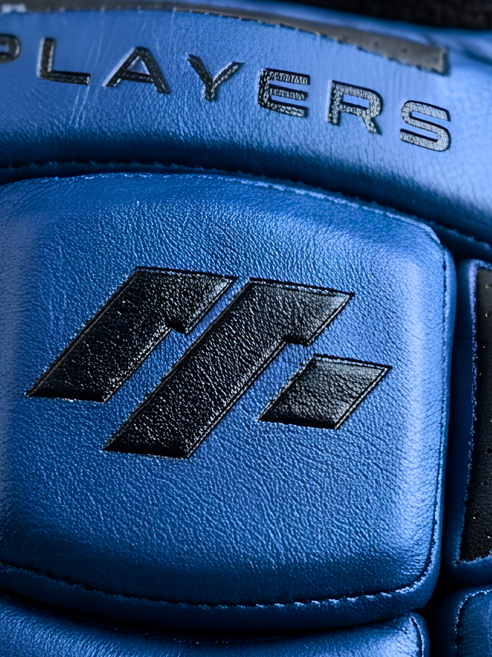 MCG Sports 2026 Players Edition Cricket Batting Gloves – Navy
