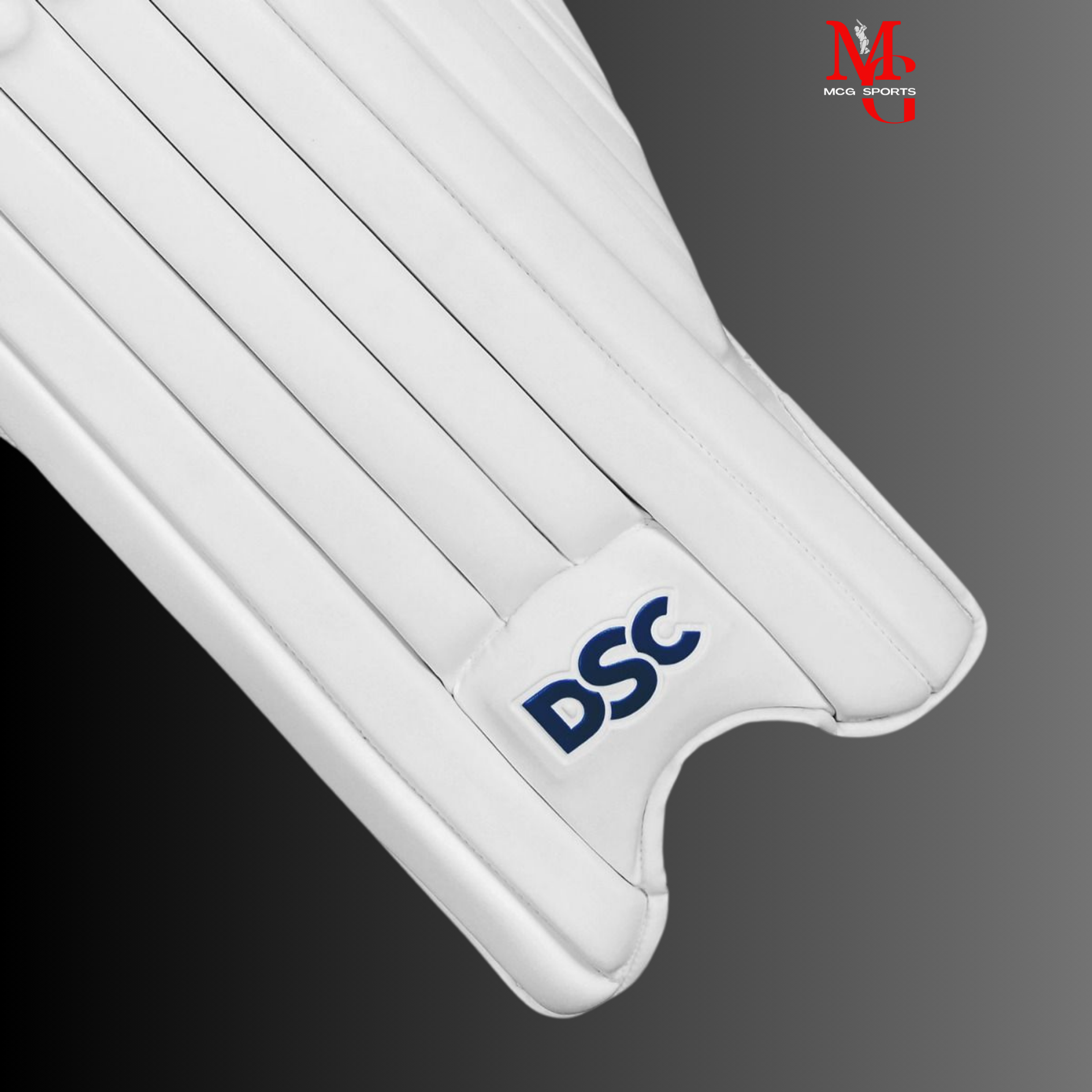 Image of DSC - Intense Passion Batting pads