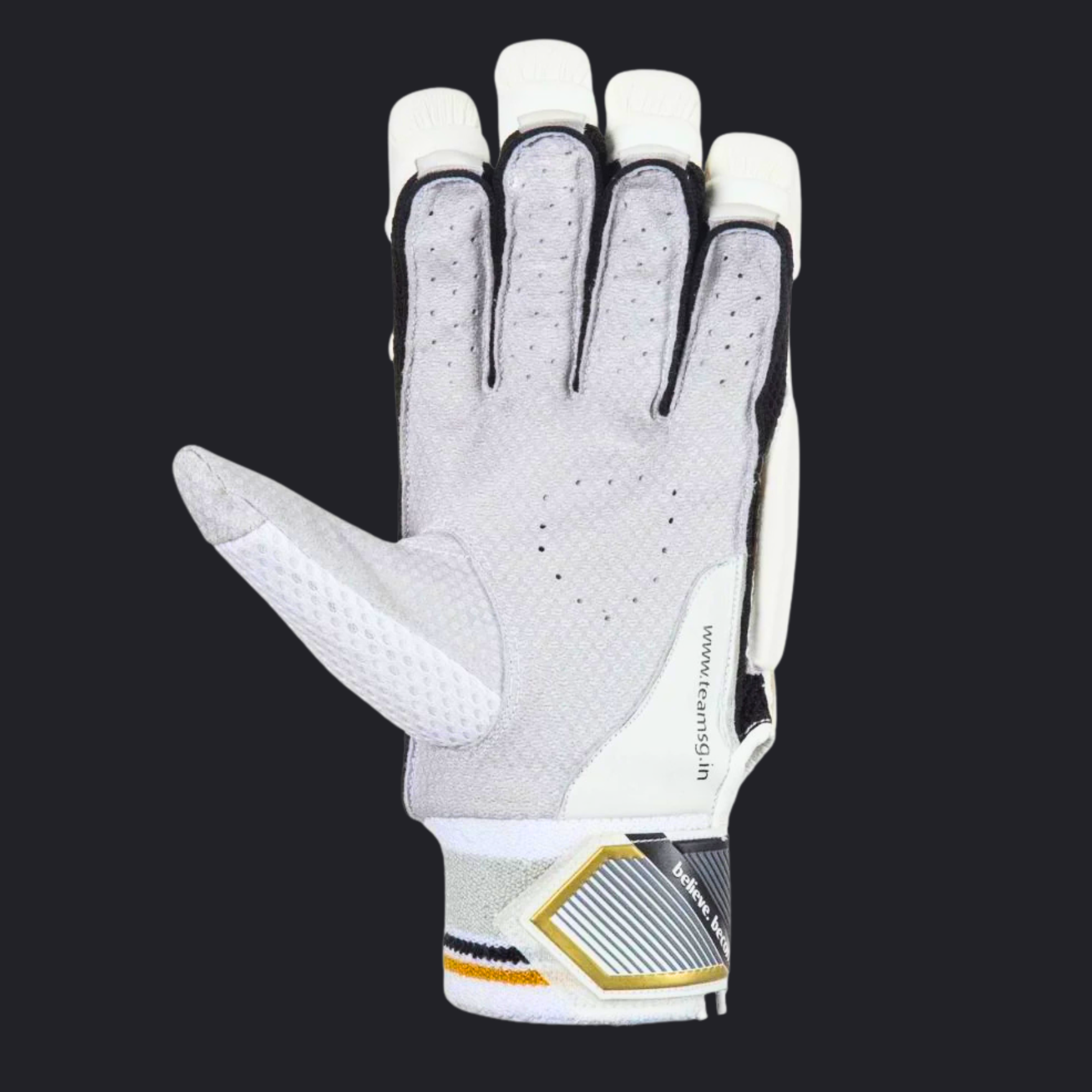 Image of SG HILITE Batting Gloves – Players