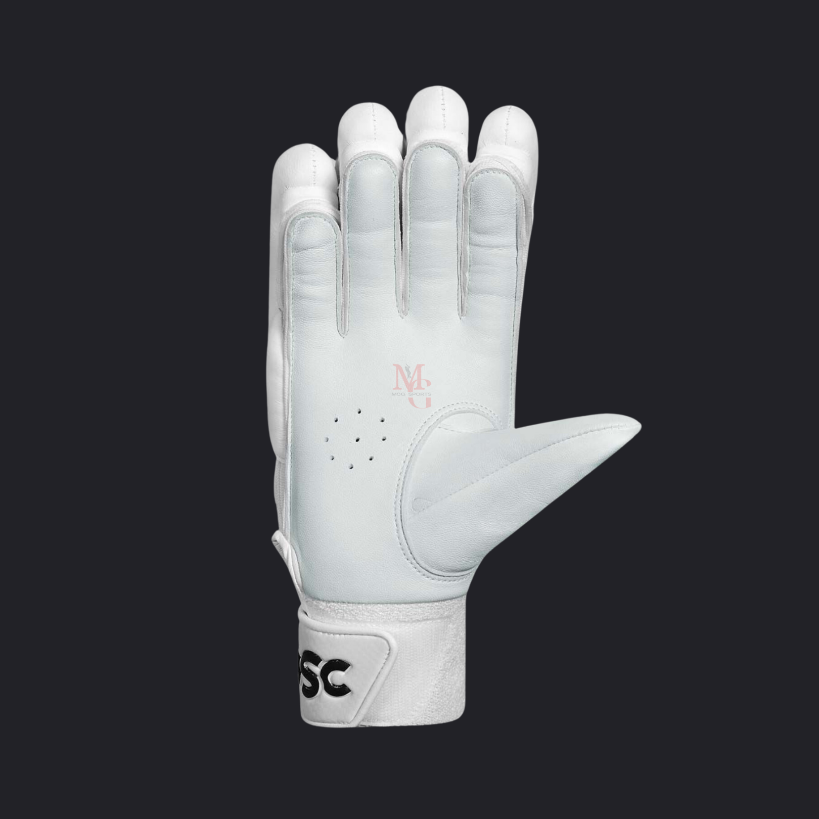 Image of DSC - Bull-31 David Warner Players Batting Gloves