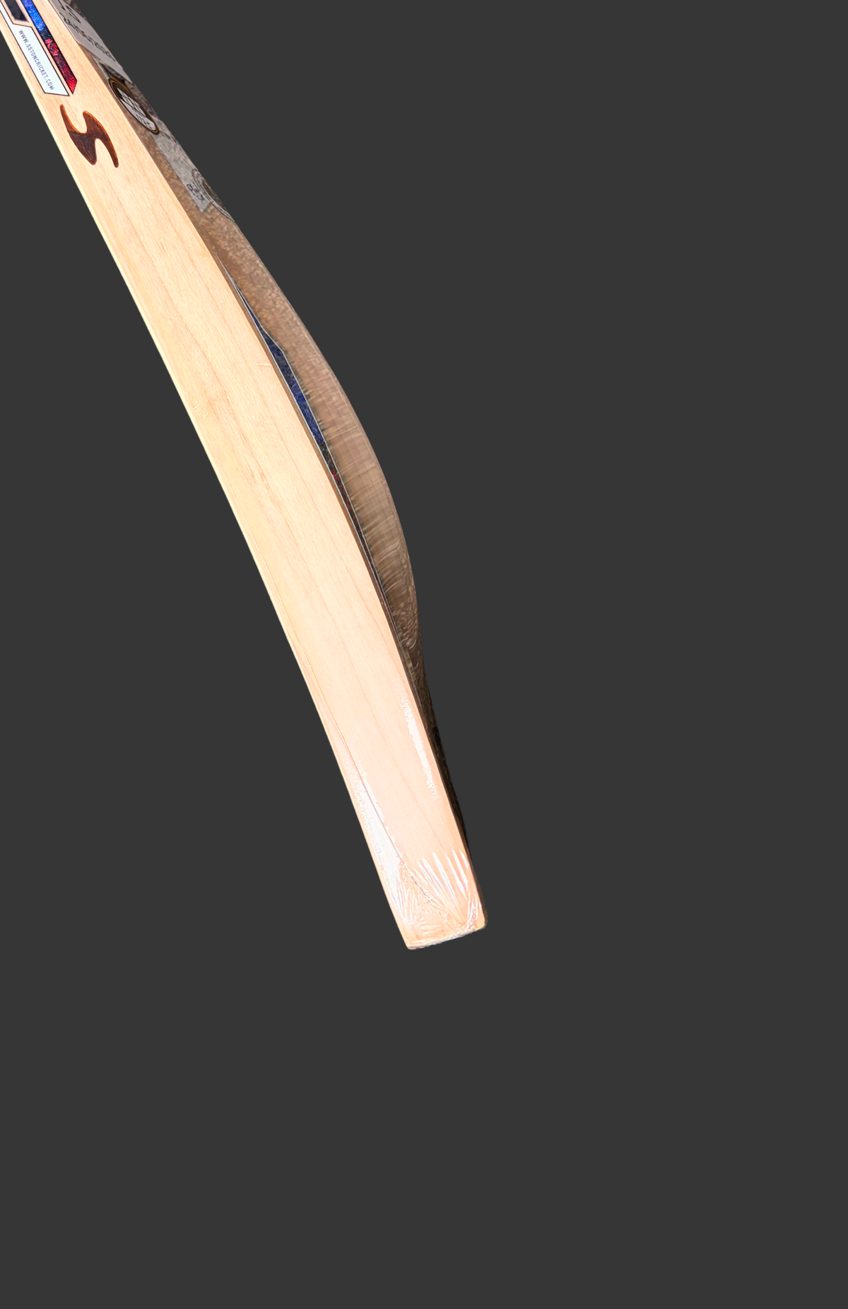 SS TON Phil Salt Player English Willow Cricket Bat - 2026/27 Edition