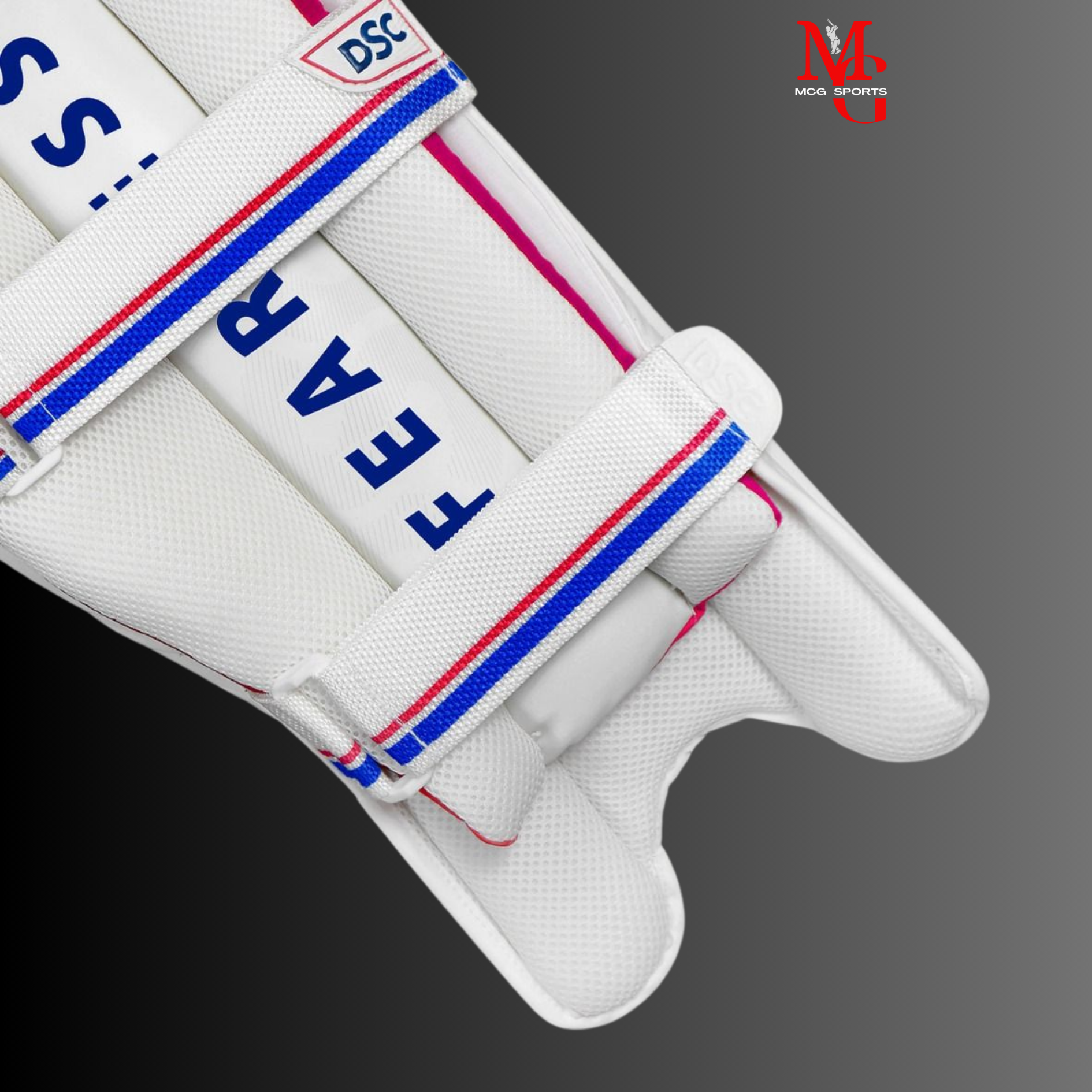 DSC - Intense Passion Batting pads