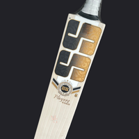 SS - Sunil Narine Players 3000 Cricket Bat