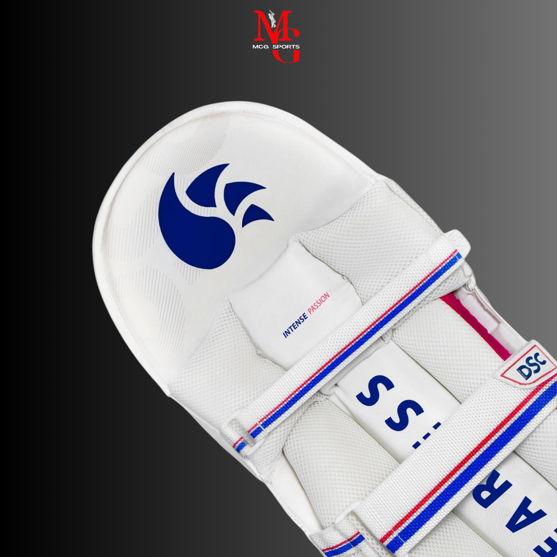 Image of DSC - Intense Passion Batting pads
