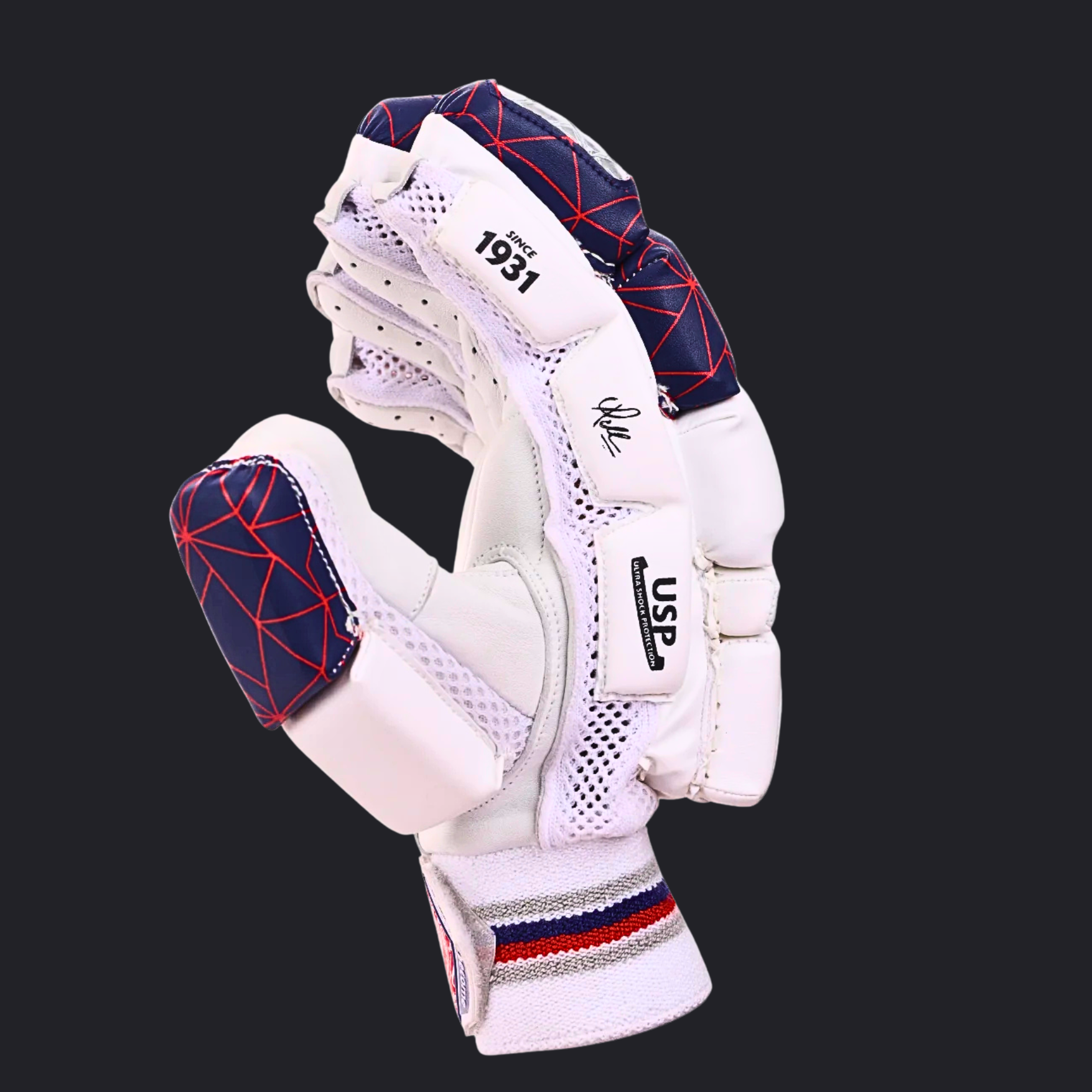 SG KLR LITE Batting Gloves