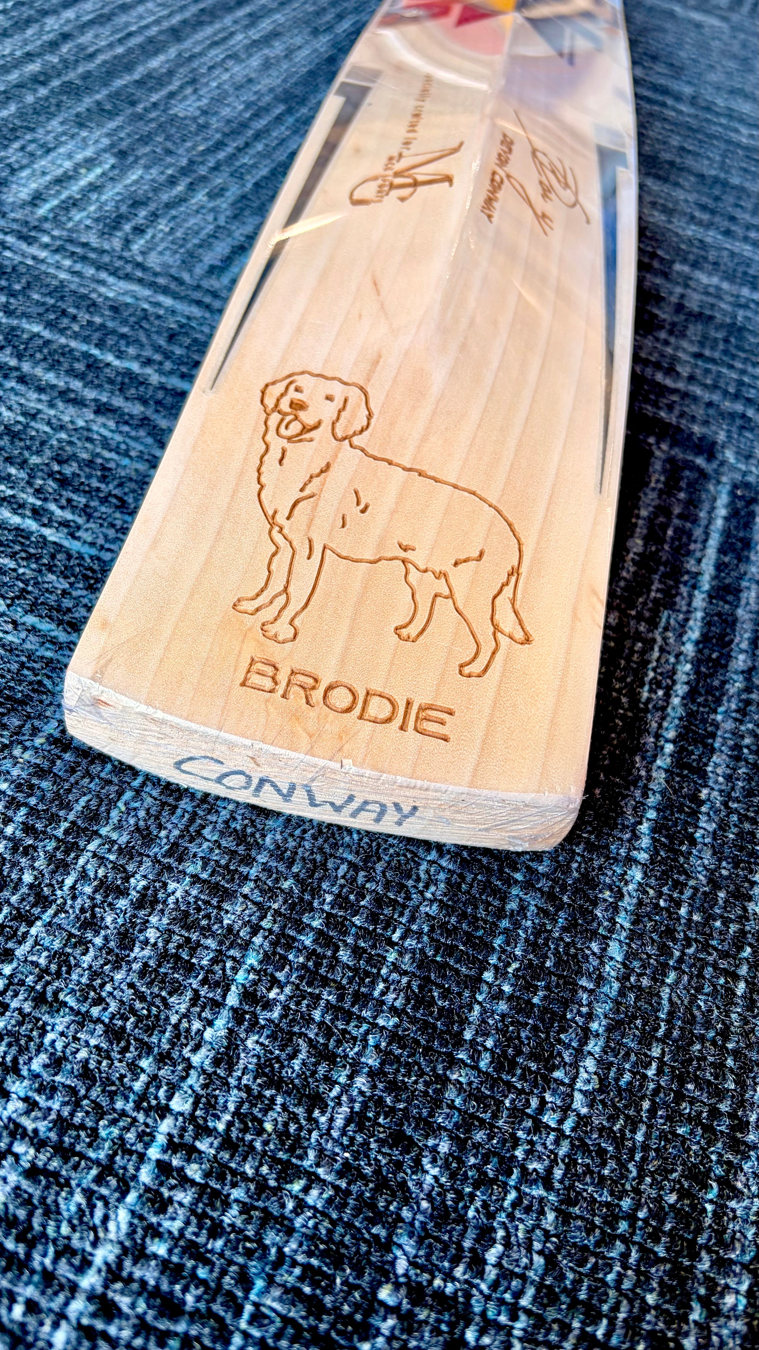 Image of SS - Devon Conway Players Cricket Bat - SH