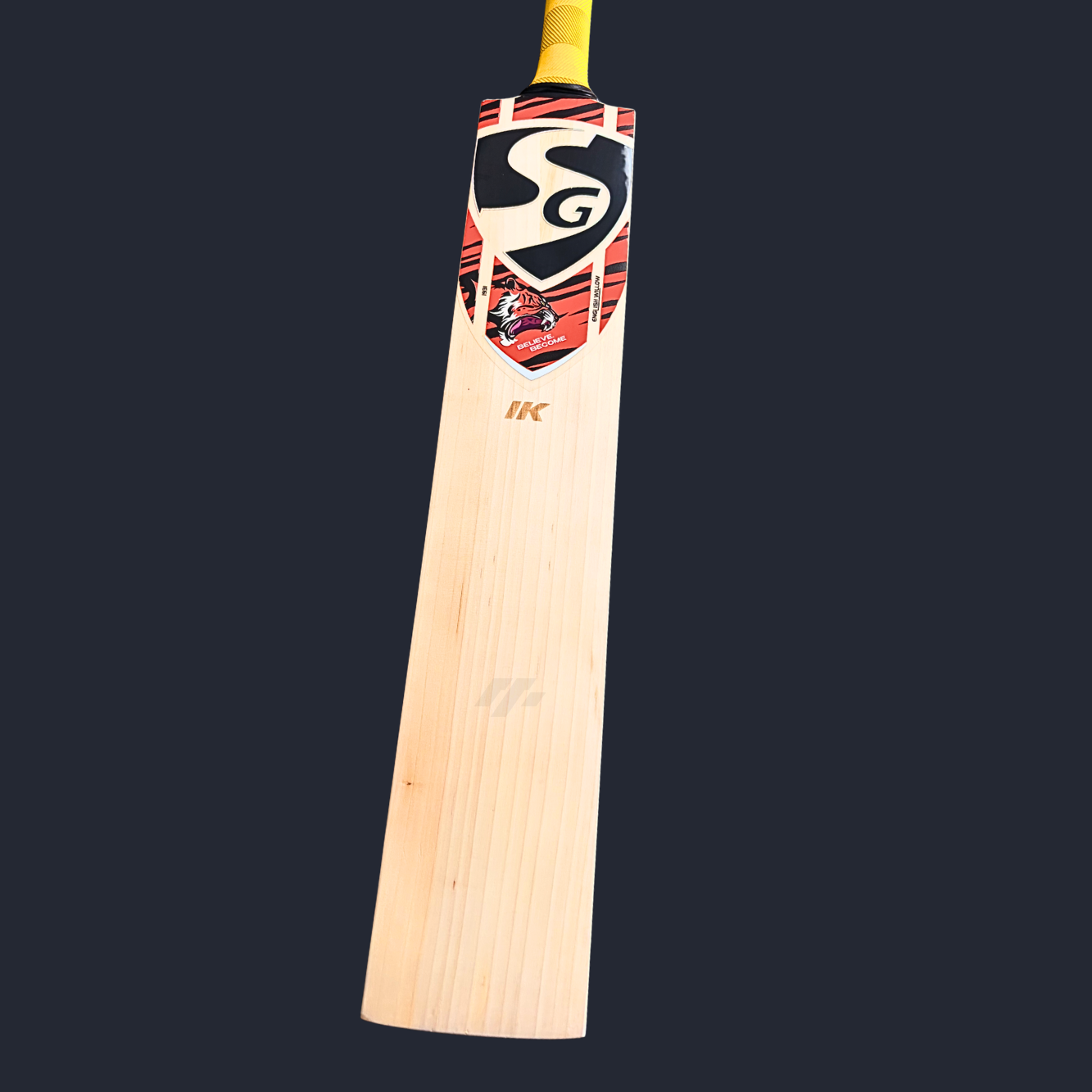 SG Ishan Kishan Players SH Cricket Bat