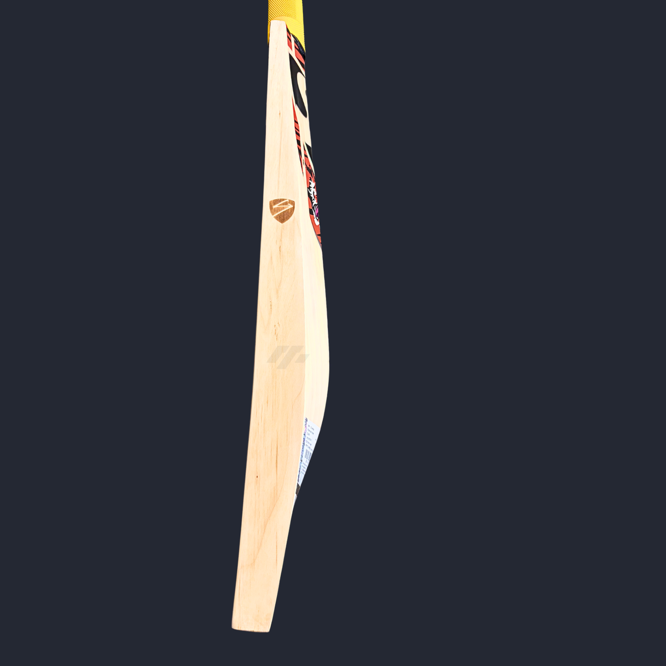 SG Ishan Kishan Players SH Cricket Bat