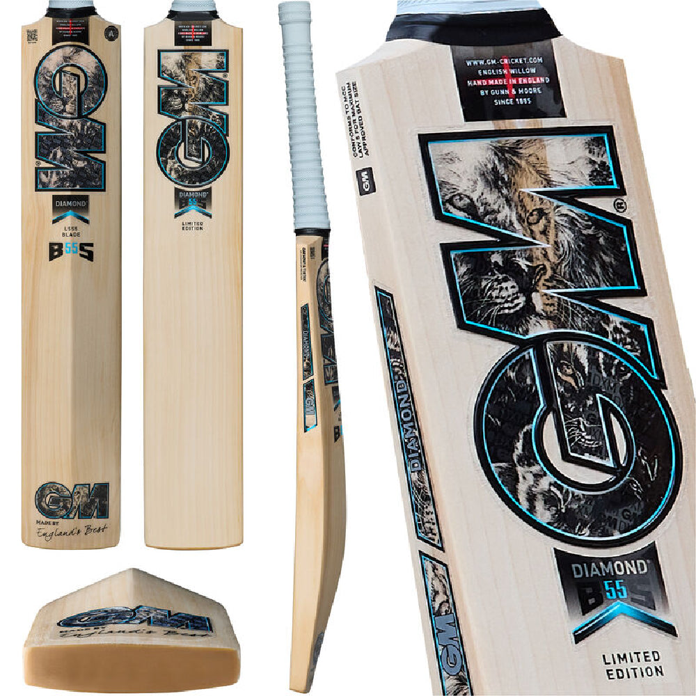 GM Diamond 808 2026 cricket bat full front view on white background