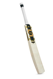 SOMI Vision English Willow cricket bat SH front view