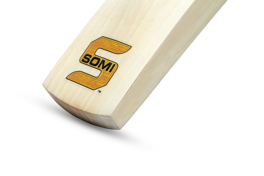 SOMI Vision cricket bat toe view
