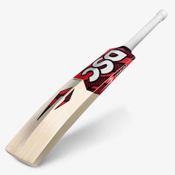 DSC Intense Attitude 2026 cricket bat full blade view