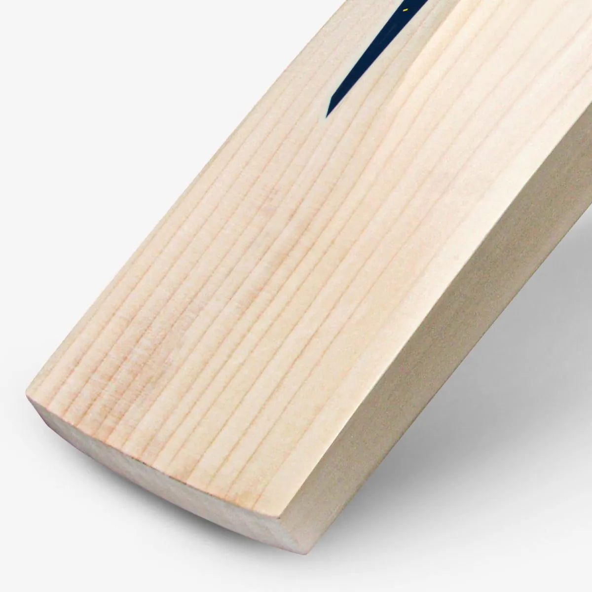DSC BLAK Monza English Willow Cricket Bat - Duckbill SH