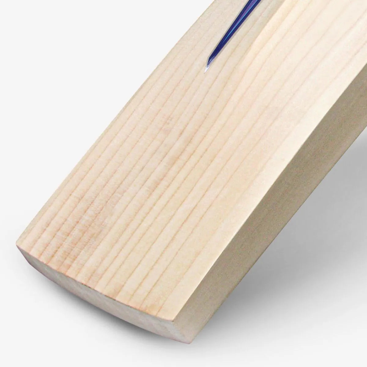 DSC BLU Monza English Willow Cricket Bat - Duckbill SH