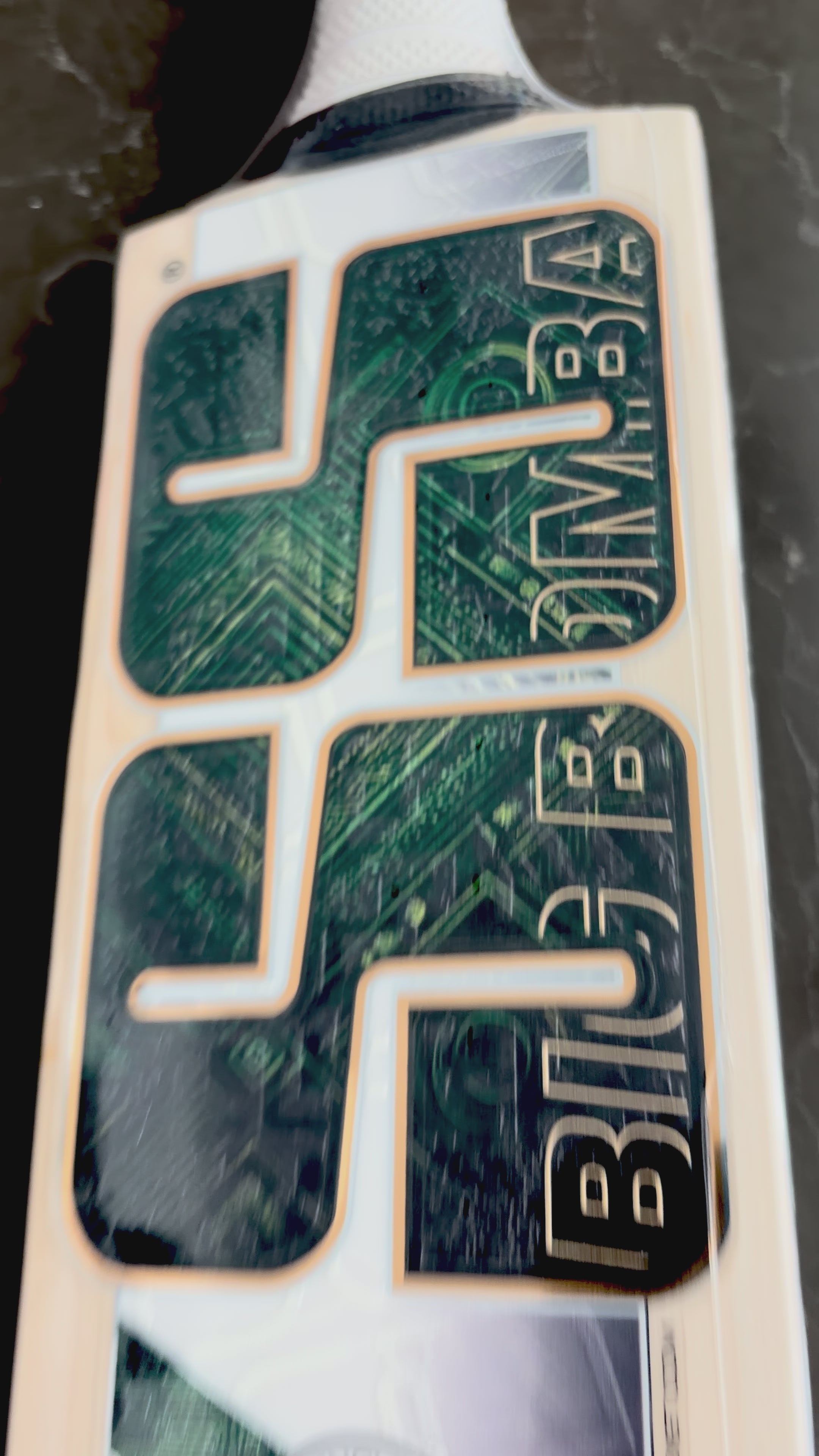 Load video: SS - Tim David Players Edition Cricket Bat- SH