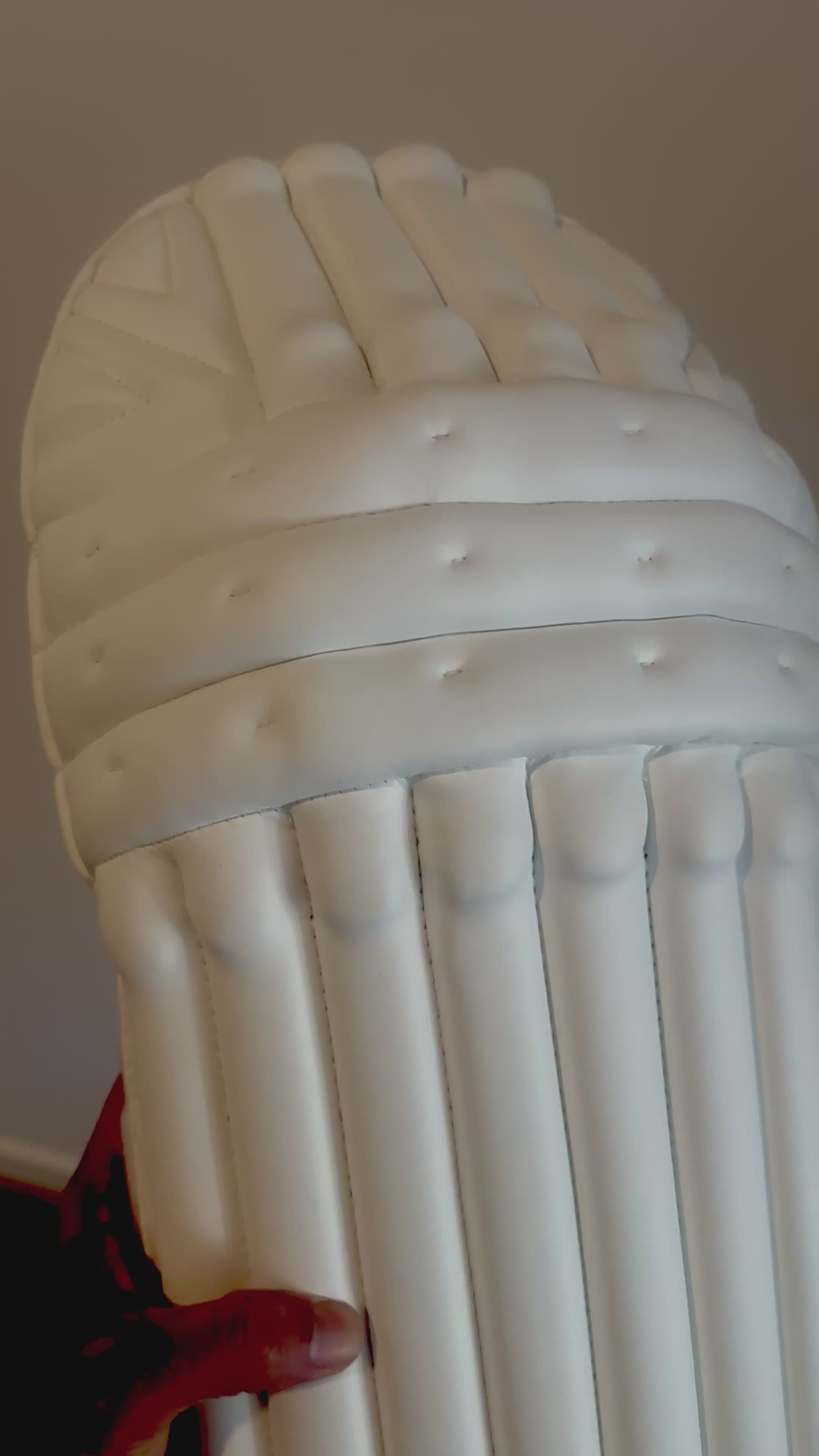 Players Edition Cricket pads - White